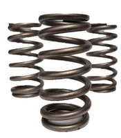 VS - VALVE SPRINGS