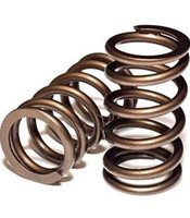 VS - VALVE SPRINGS